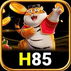 Cara Menggunakan Aplikasi h85 untuk Pemula